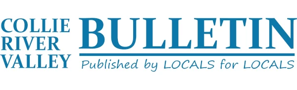 recent-collie-bulletin